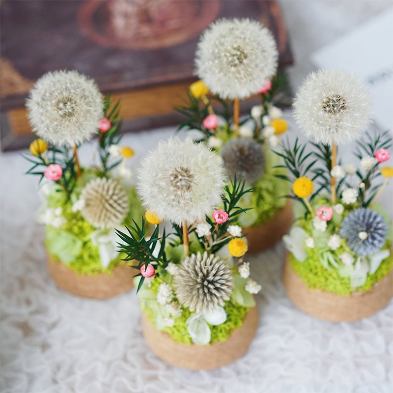 UO Immortal flower gift box dandelion ornament glass cover dried flower bouquet Christmas birthday gift