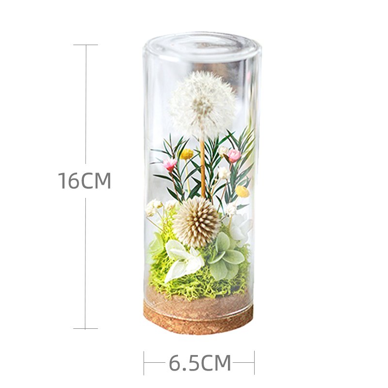 UO Immortal flower gift box dandelion ornament glass cover dried flower bouquet Christmas birthday gift
