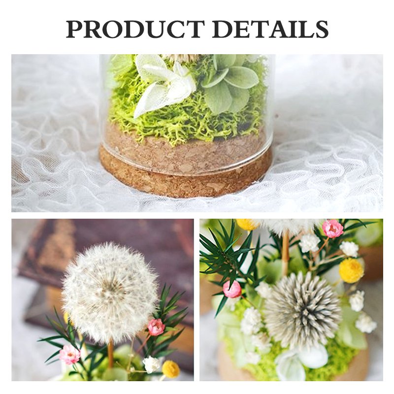 UO Immortal flower gift box dandelion ornament glass cover dried flower bouquet Christmas birthday gift