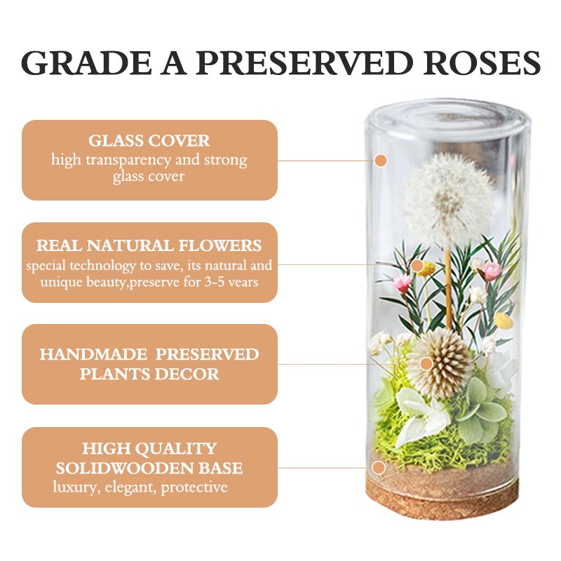 UO Immortal flower gift box dandelion ornament glass cover dried flower bouquet Christmas birthday gift