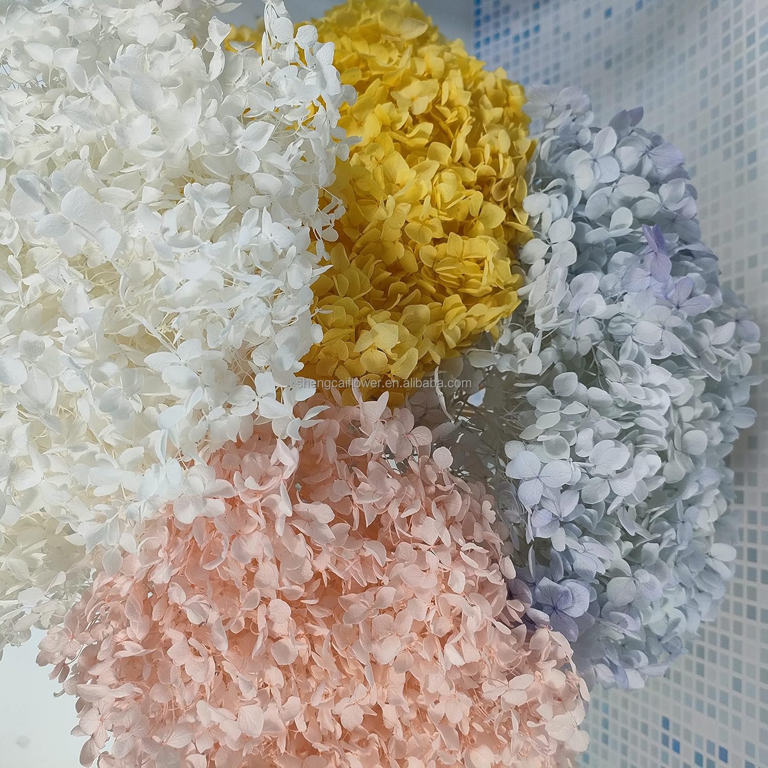 Preserved Hydrangeas valentines Day dried Hydrangea roses Flowers fresh Roses home Decor for christmas Arrangements graduation