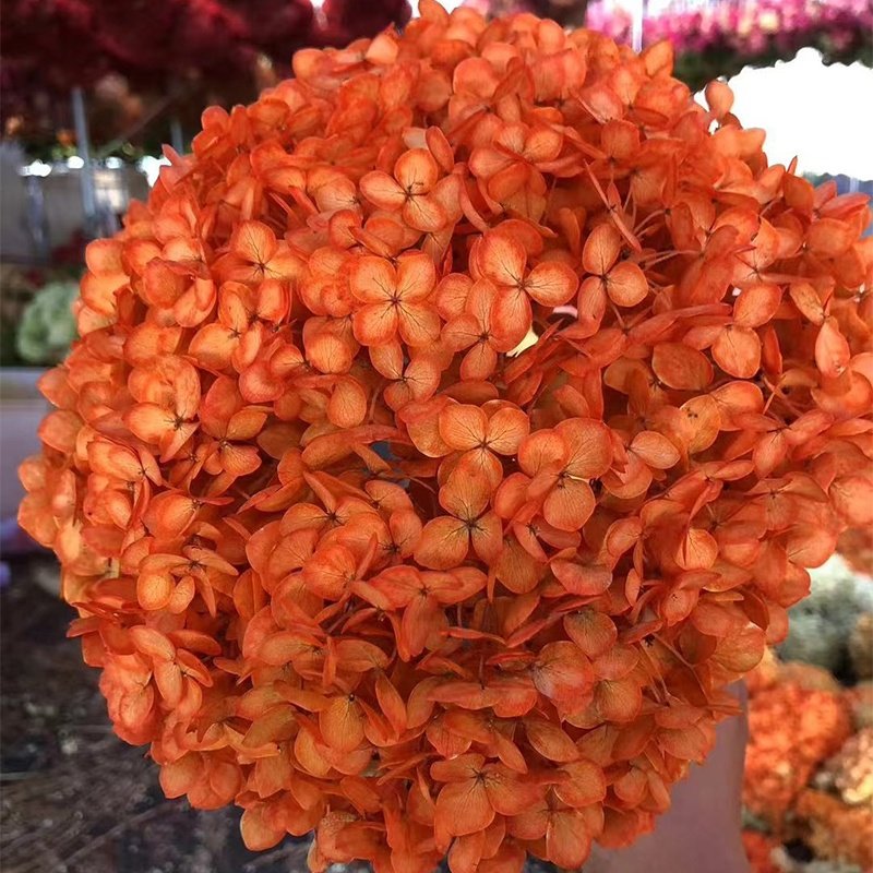 Preserved Hydrangeas valentines Day dried Hydrangea roses Flowers fresh Roses home Decor for christmas Arrangements graduation