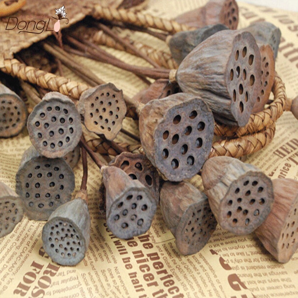 Chinese traditional lotus pod mini size lotus, dried natural lotus flower