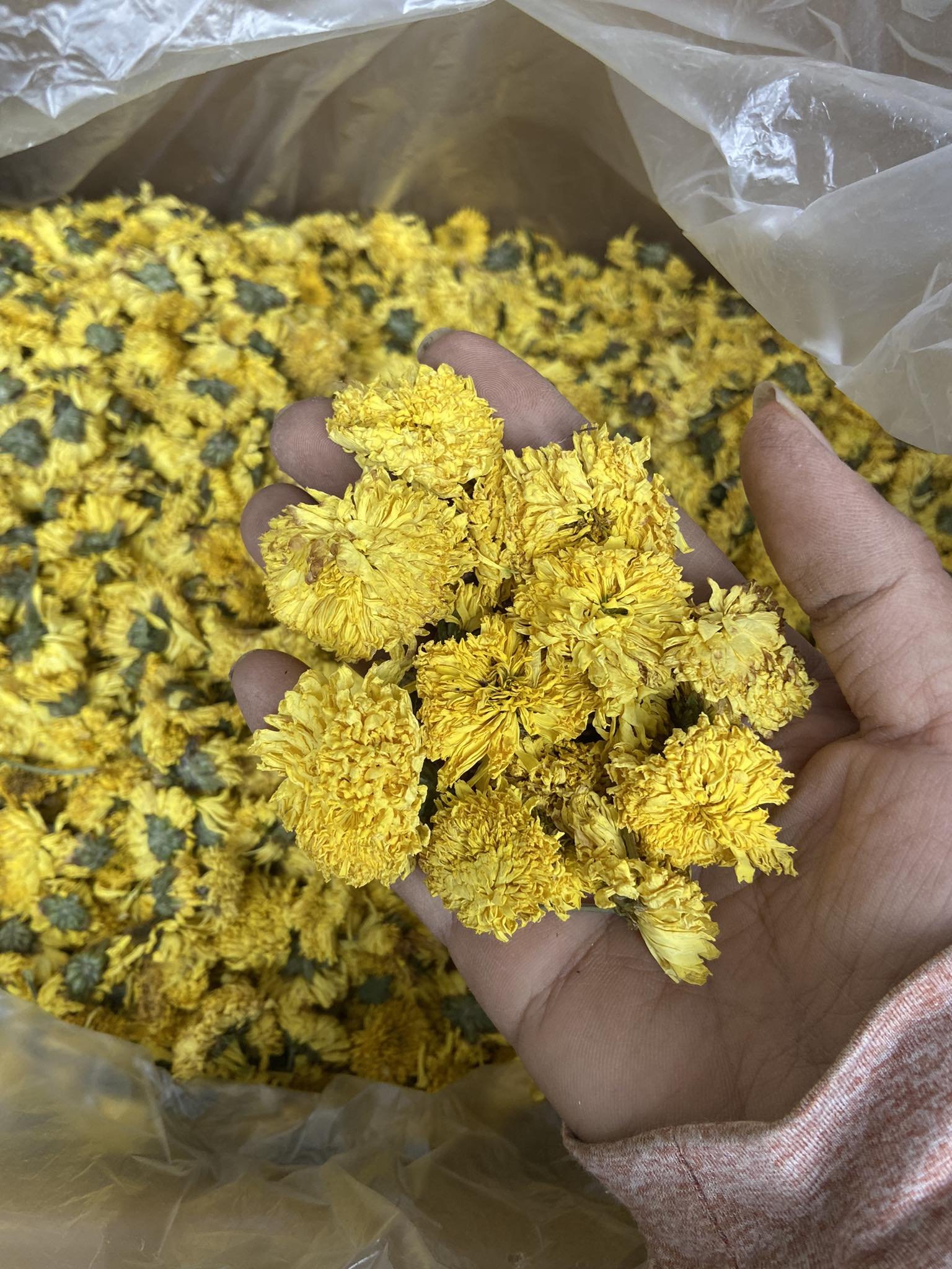 IN BULK SLIMMING TEAN- HERBAL TEA FROM DRIED FLOWERS VARIOUS TYPES: DAISY CHAMOMILE, HIBISCUS AND LAVENDER