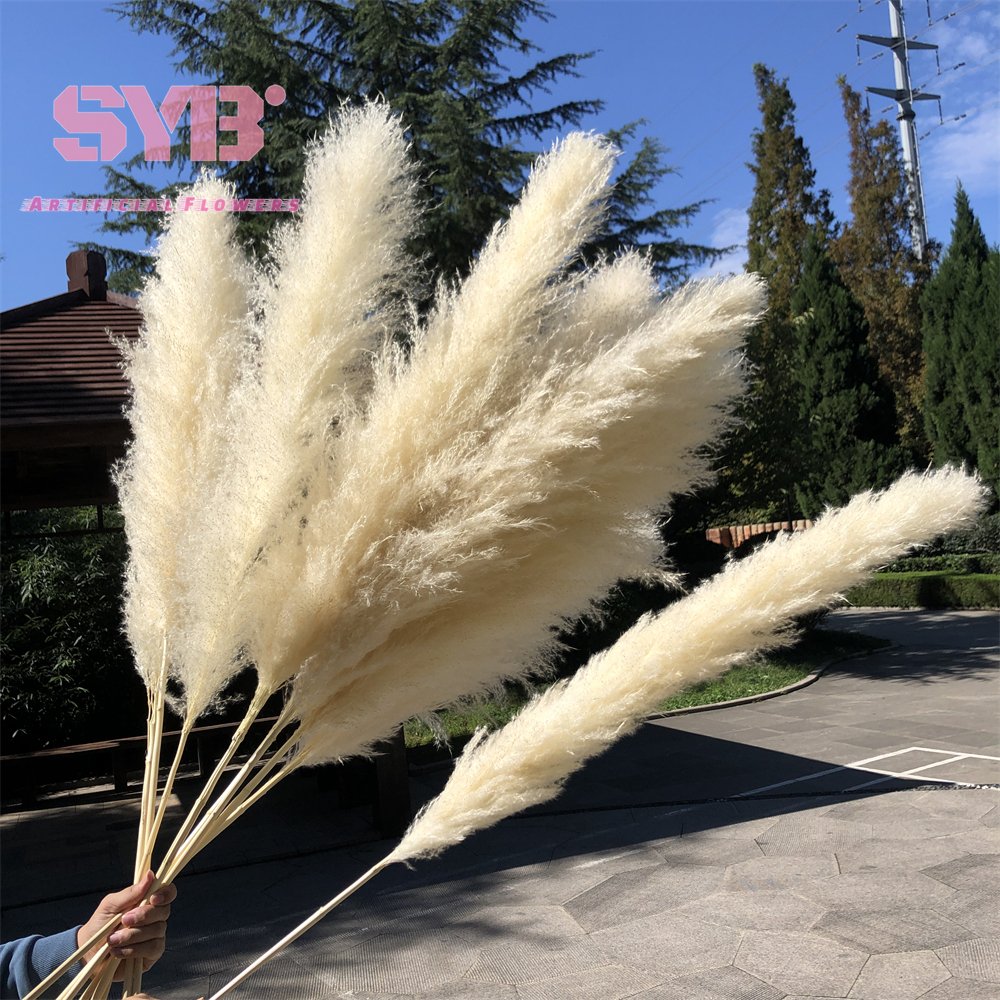 Hot Sale Artificial Flowers Decorative Flowers Coloured Natural Dried Pampas Grass For Wedding Party