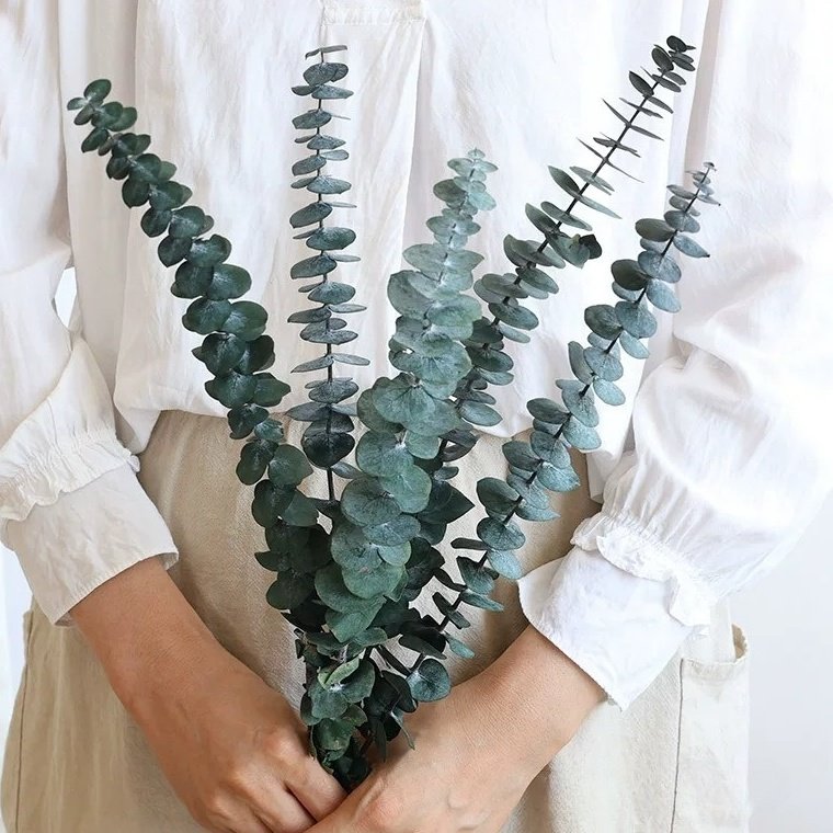 Shower Decor Dried Flowers for Sale Best Eucalyptus Bouquet Hanging Natural Grade 100% Natural Back to School Plant Picks CN;YUN