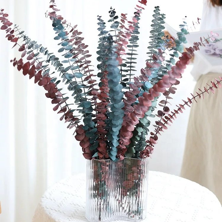 Shower Decor Dried Flowers for Sale Best Eucalyptus Bouquet Hanging Natural Grade 100% Natural Back to School Plant Picks CN;YUN