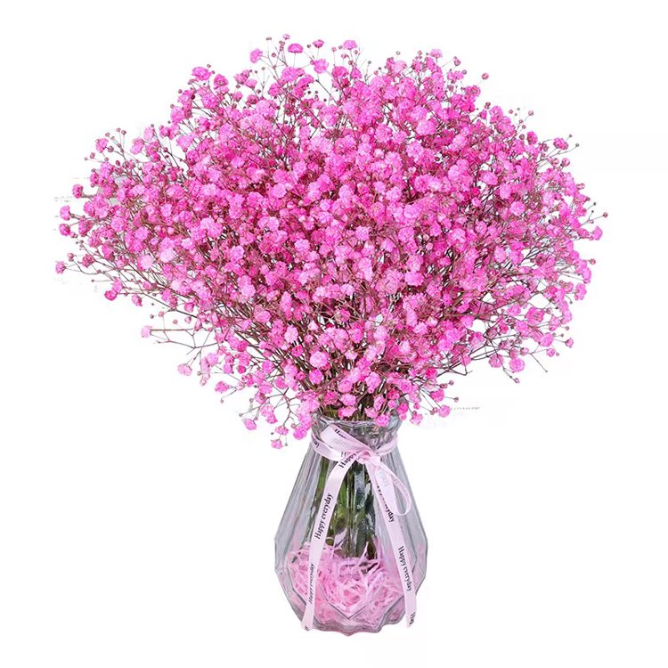 SumFlora Wholesale Dried dreame star soft color preserved flower babys breath For wedding Decoration