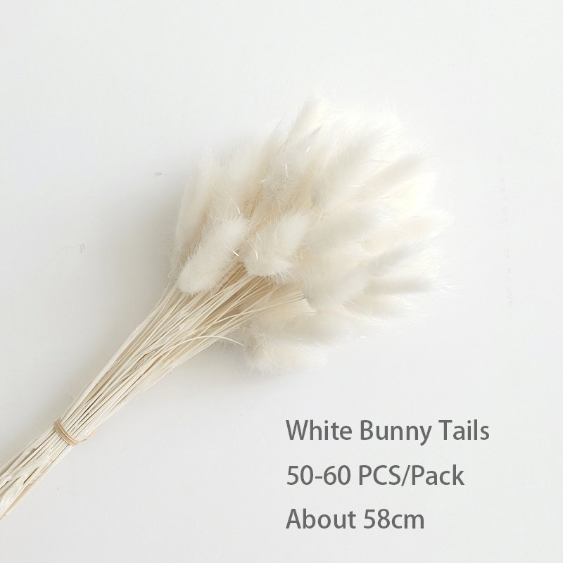Decorative Flowers Rabbit Tails Grass Lagurus Ovatus Lamb Mini Pampas Grass Dried Bunny Tails Grass For Wedding Home Decorations