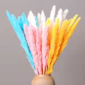 Decorative Flowers Rabbit Tails Grass Lagurus Ovatus Lamb Mini Pampas Grass Dried Bunny Tails Grass For Wedding Home Decorations