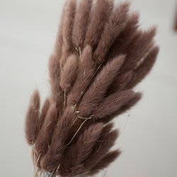 66