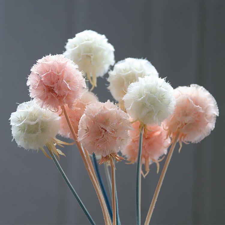GH-35 supplier wholesale cheap natural resin dried flower pinwheel fruit and wreath wedding decoration flowers