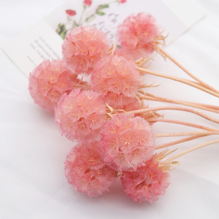 GH-35 supplier wholesale cheap natural resin dried flower pinwheel fruit and wreath wedding decoration flowers