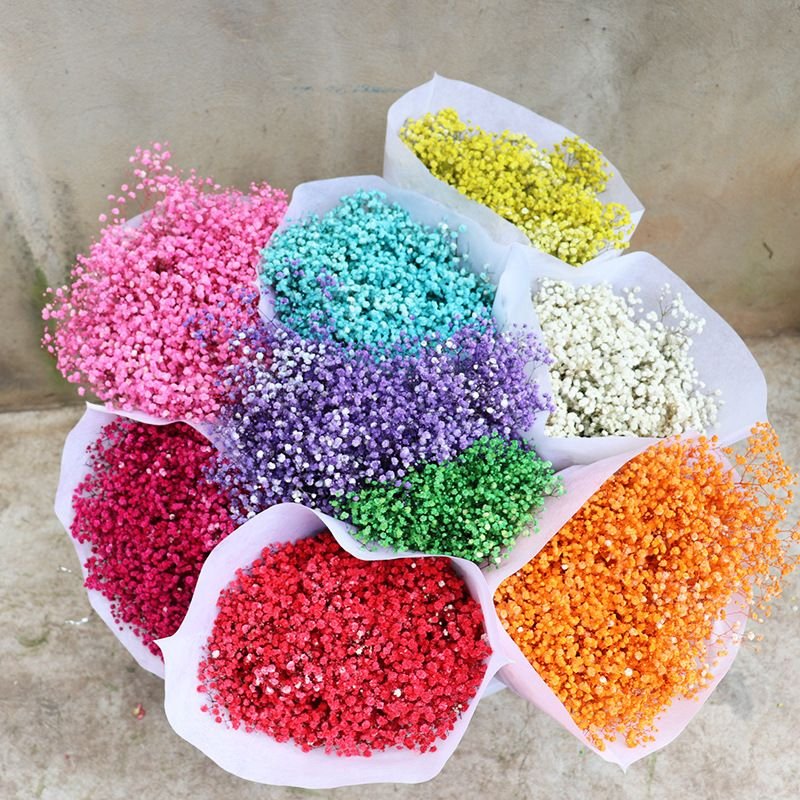 Real Natural Preserved Baby's Breath Flower Long Lasting Preserved Gypsophila Babysbreath Flower For Decoration