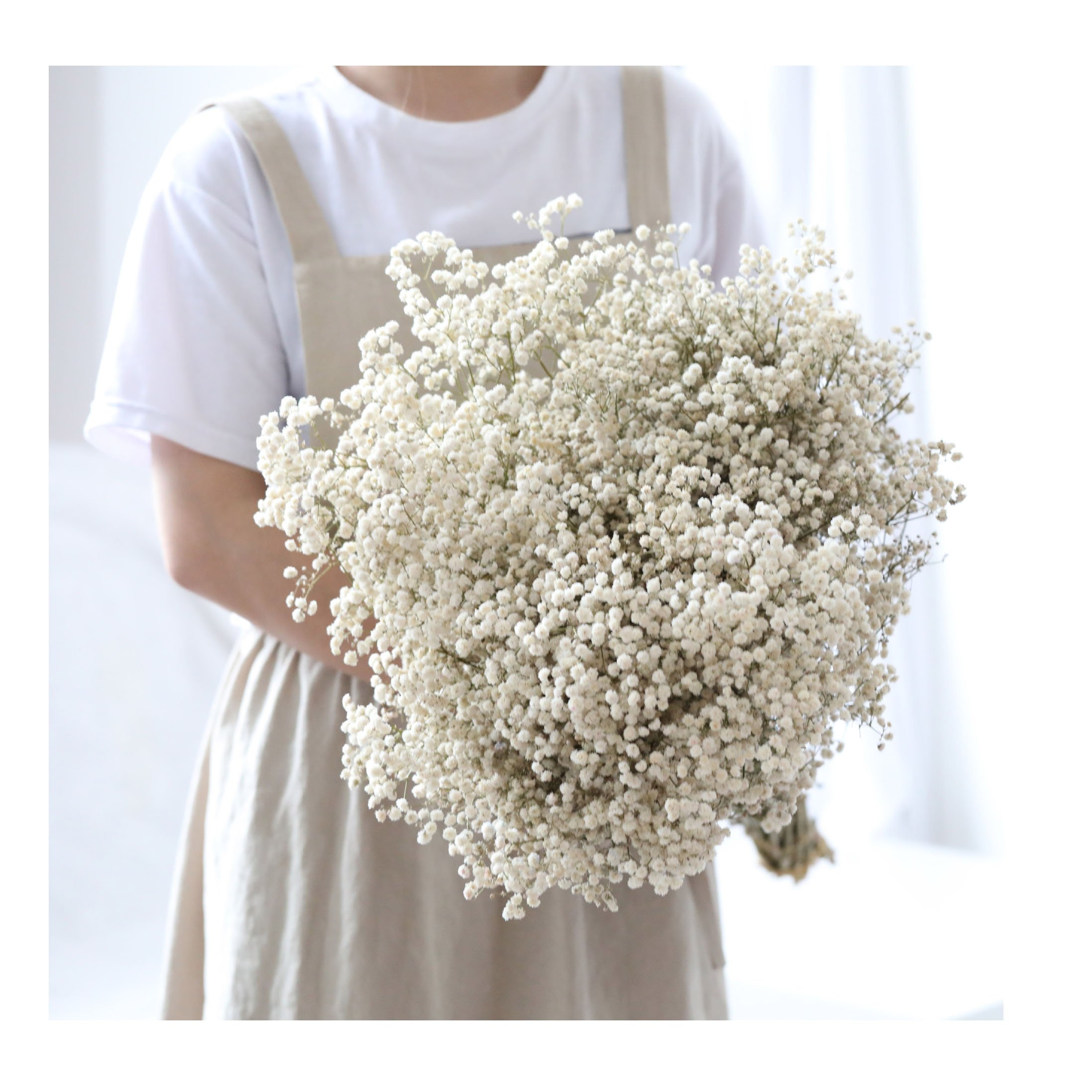 Real Natural Preserved Baby's Breath Flower Long Lasting Preserved Gypsophila Babysbreath Flower For Decoration