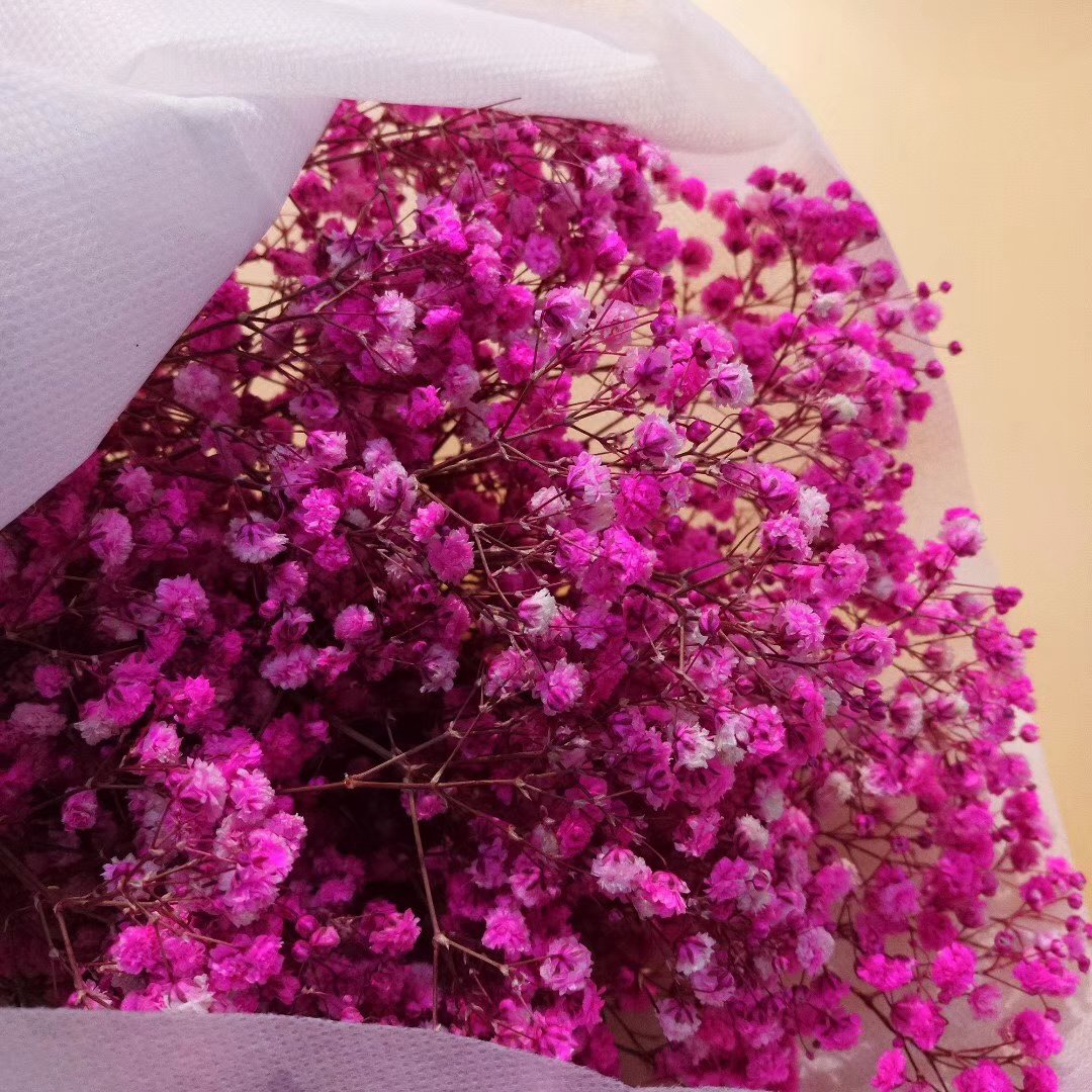 Real Natural Preserved Baby's Breath Flower Long Lasting Preserved Gypsophila Babysbreath Flower For Decoration