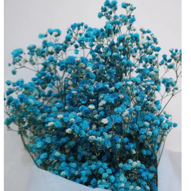Real Natural Preserved Baby's Breath Flower Long Lasting Preserved Gypsophila Babysbreath Flower For Decoration