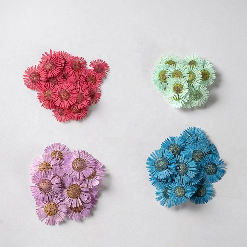 MNR1960 high quality multi colors dried daisy flower for nail art