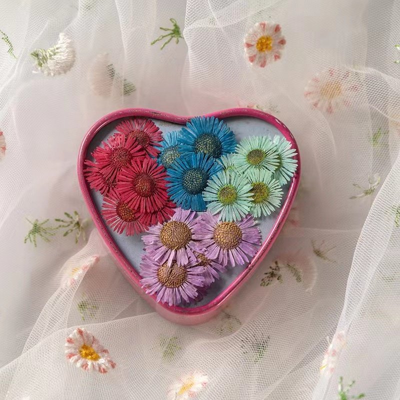MNR1960 high quality multi colors dried daisy flower for nail art