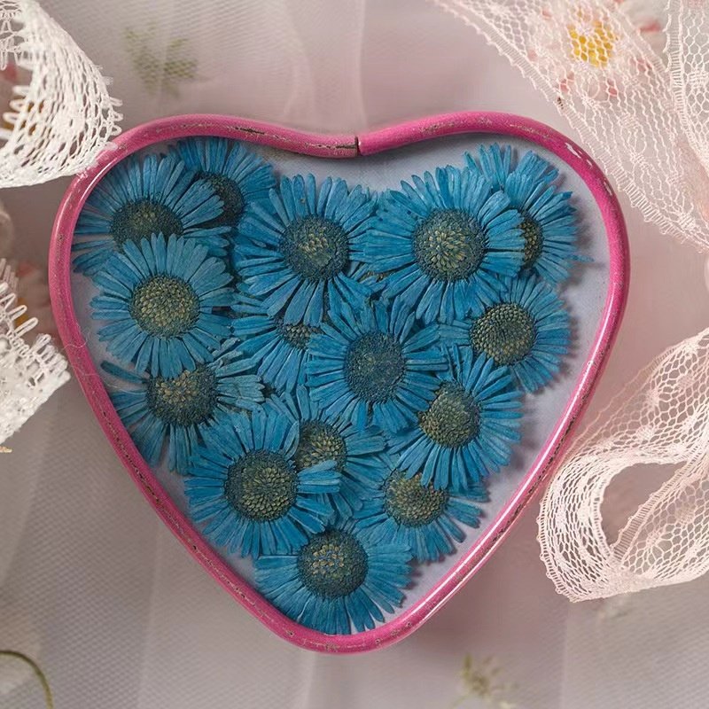 MNR1960 high quality multi colors dried daisy flower for nail art