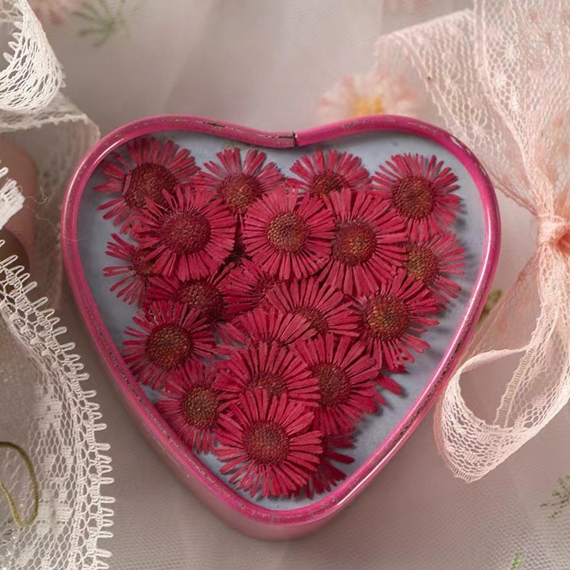 MNR1960 high quality multi colors dried daisy flower for nail art