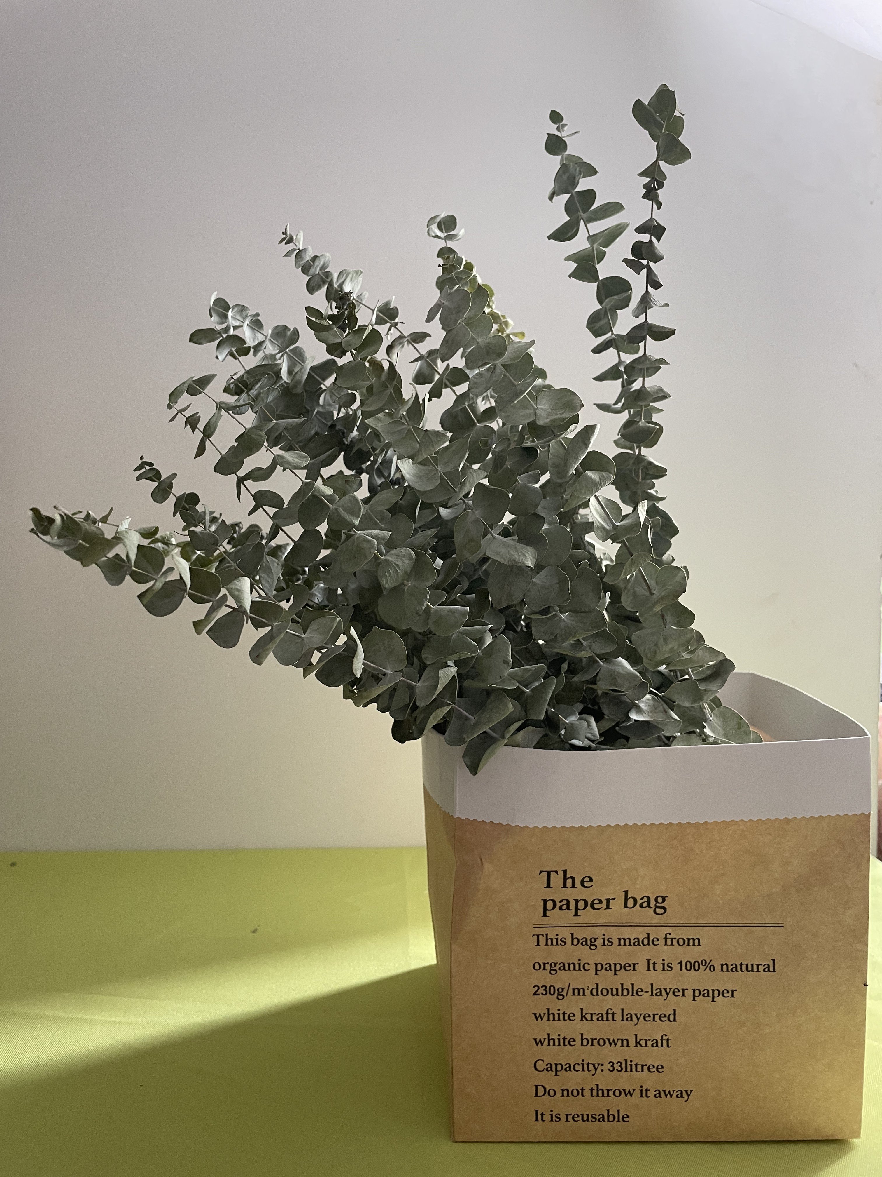 Eucalyptus for Shower 15 Pcs 20inch Dried Eucalyptus Bundle Real Fresh Eucalyptus Branches for Shower Flower Arrangement