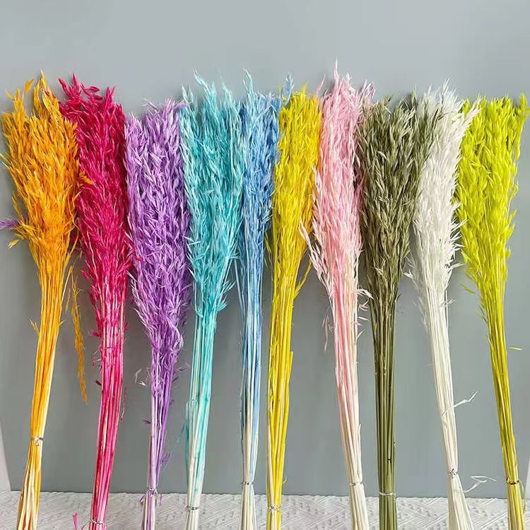 Preserved Dried Grass Bouquet Wheat Natural Wild Oats Flower Bunch Dry Avena Sativa