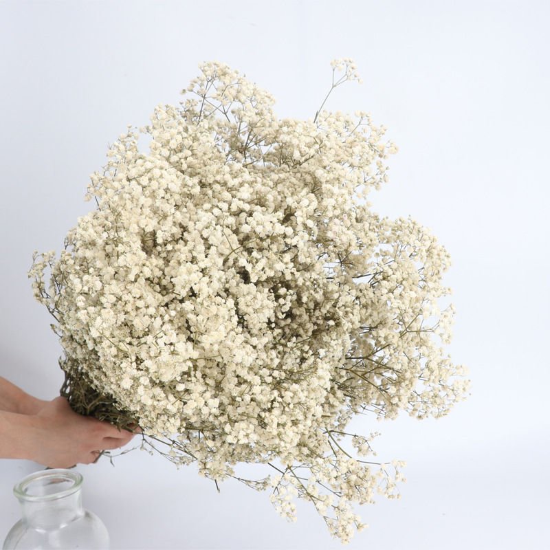 UKIQUEEN Wholesale Wedding Decoration Dried Flower Baby Breath Bouquet Dry Preserved Baby's Breath For Home Decoration Flowers