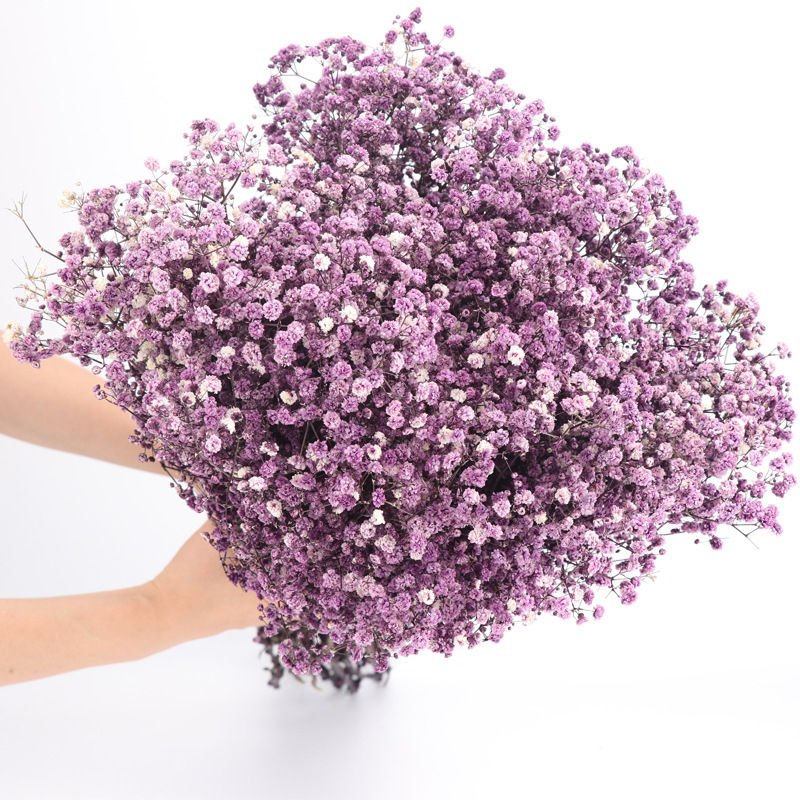 UKIQUEEN Wholesale Wedding Decoration Dried Flower Baby Breath Bouquet Dry Preserved Baby's Breath For Home Decoration Flowers