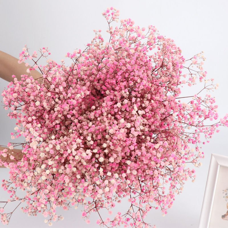 UKIQUEEN Wholesale Wedding Decoration Dried Flower Baby Breath Bouquet Dry Preserved Baby's Breath For Home Decoration Flowers