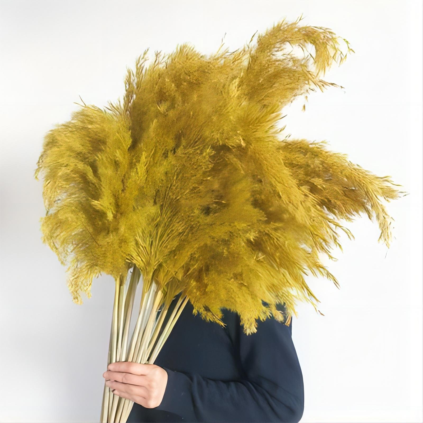 Natural Pampas Grass Set Bouquet | Boho Dried Floral Arrangement Centerpiece Table Decor Wedding Decor Rustic Decor 20pcs