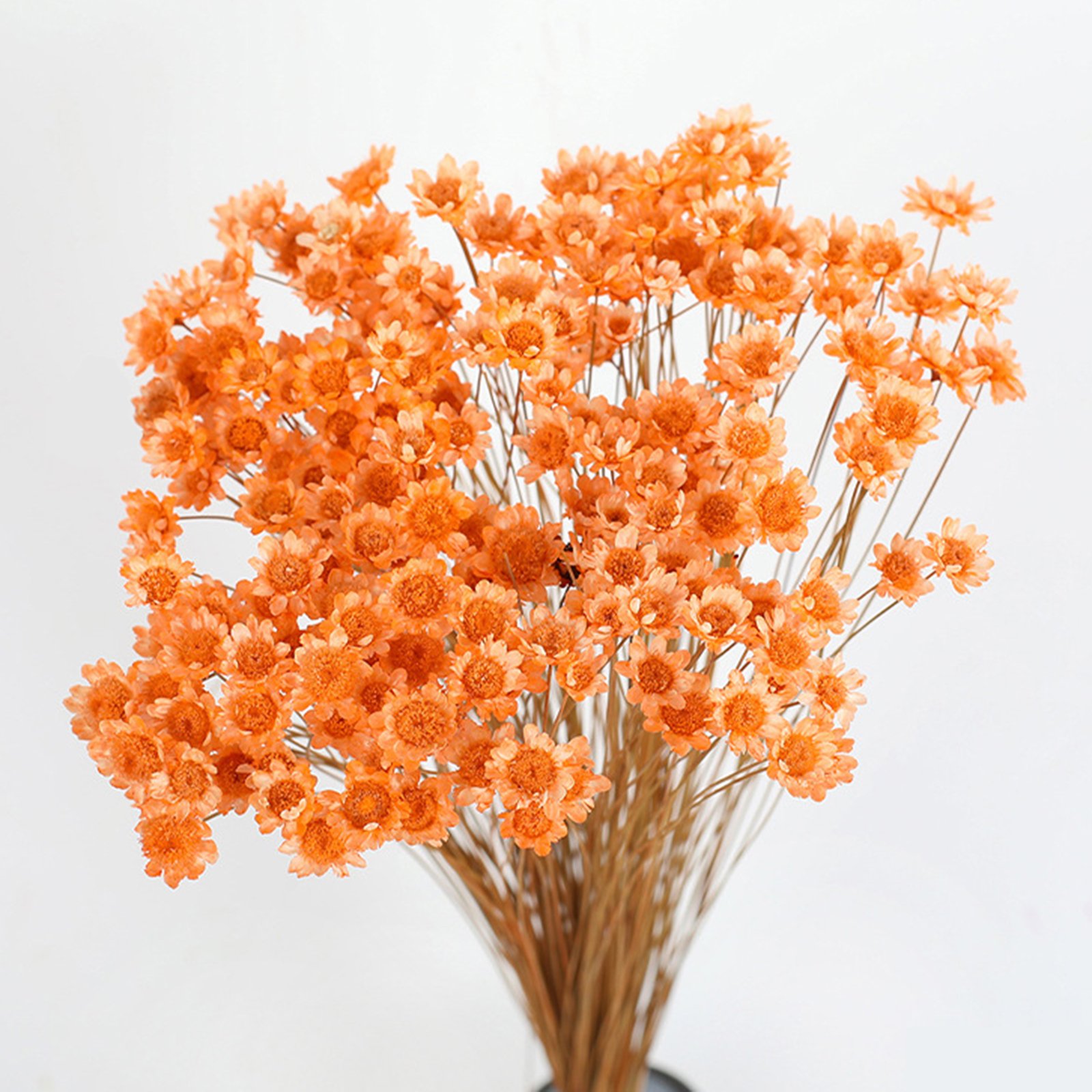 Wholesale Natural Mini Star Daisy Brazilian Small Star Flower Japanese Star Flowers Home Party Wedding Decoration