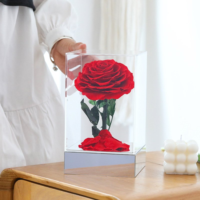 Preserved Pink Rose in Transparent Display 3pcs Real Flower for Christmas Valentine's Day Graduation New Year & Wedding
