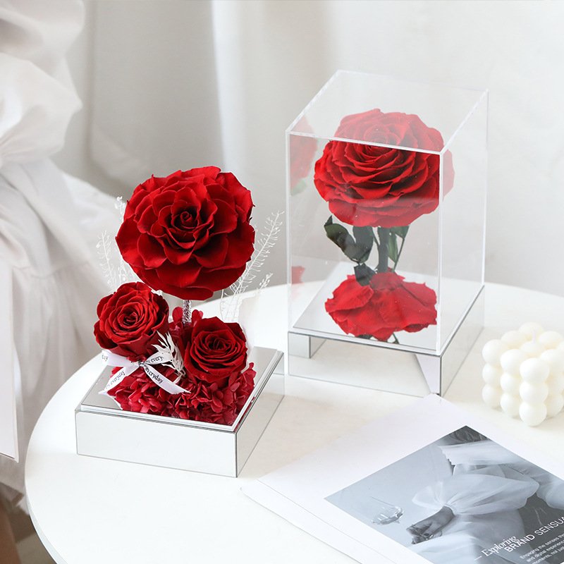Preserved Pink Rose in Transparent Display 3pcs Real Flower for Christmas Valentine's Day Graduation New Year & Wedding