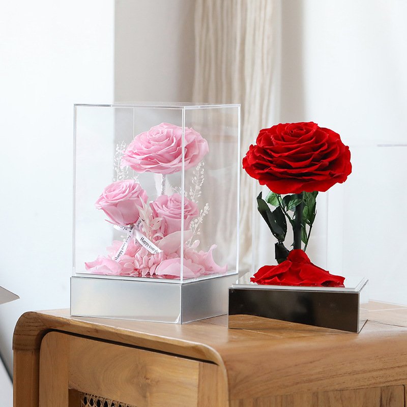 Preserved Pink Rose in Transparent Display 3pcs Real Flower for Christmas Valentine's Day Graduation New Year & Wedding