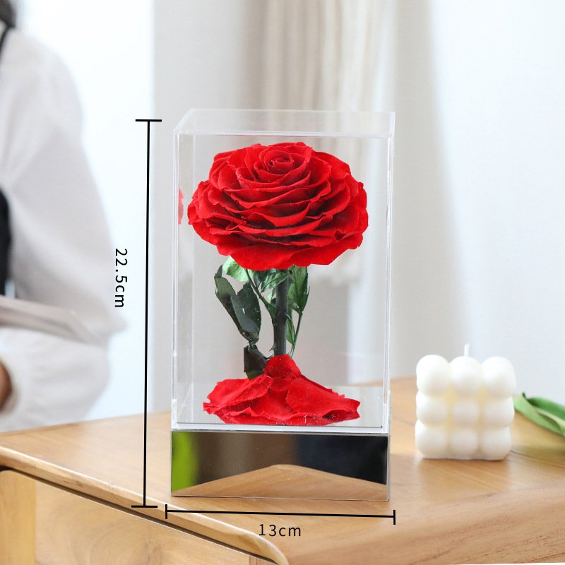 Preserved Pink Rose in Transparent Display 3pcs Real Flower for Christmas Valentine's Day Graduation New Year & Wedding
