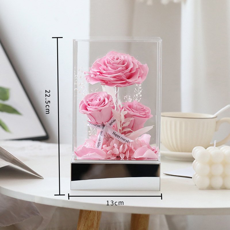 Preserved Pink Rose in Transparent Display 3pcs Real Flower for Christmas Valentine's Day Graduation New Year & Wedding