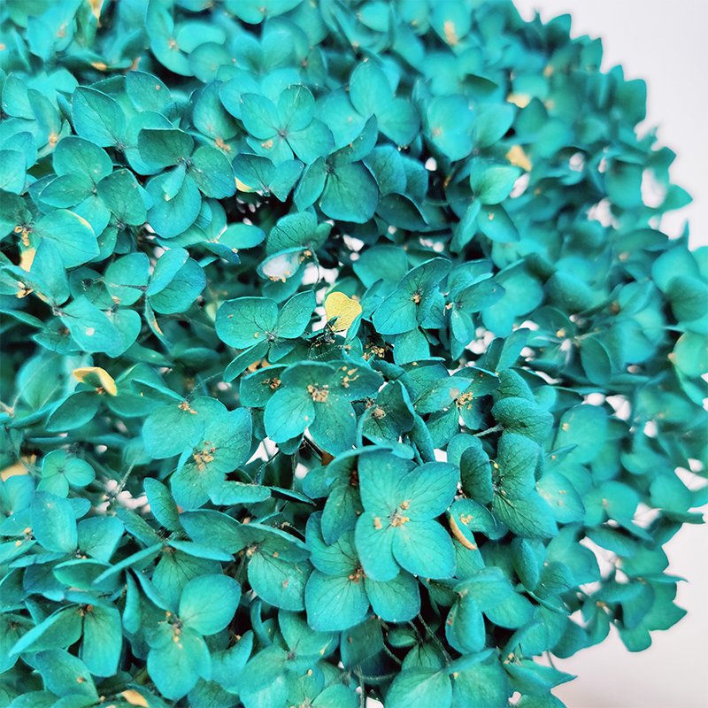 Anna Hydrangea Wedding Supplies Decorative Dried Flower Peacock Green Real Touch Natural Hydrangeas Preserved Hydrangea