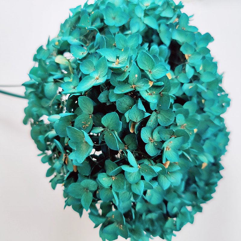 Anna Hydrangea Wedding Supplies Decorative Dried Flower Peacock Green Real Touch Natural Hydrangeas Preserved Hydrangea