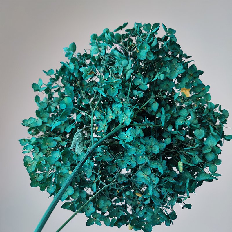 Anna Hydrangea Wedding Supplies Decorative Dried Flower Peacock Green Real Touch Natural Hydrangeas Preserved Hydrangea