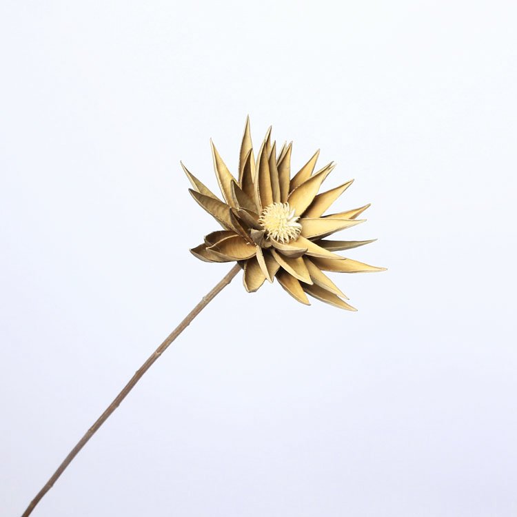 SumFlora Fashion Design Handmade dried flower wooden flower lotus for best wish