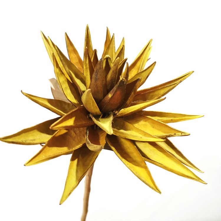 SumFlora Fashion Design Handmade dried flower wooden flower lotus for best wish
