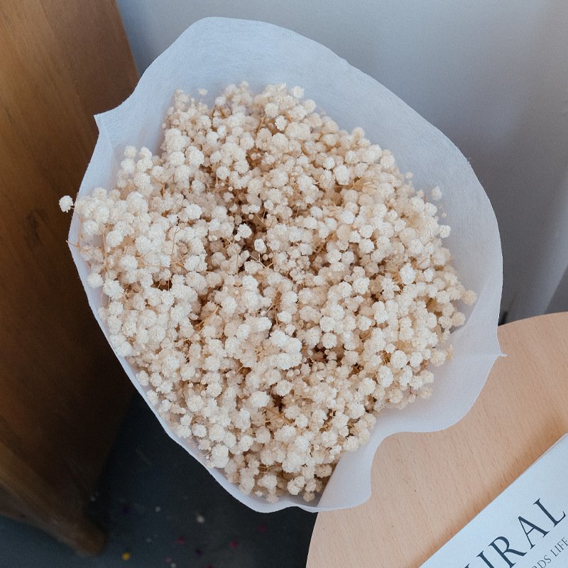 Natural Dried Flower Natural babybreath real Natural Dried Flower Bouquet Gypsophila Dried babysbreath