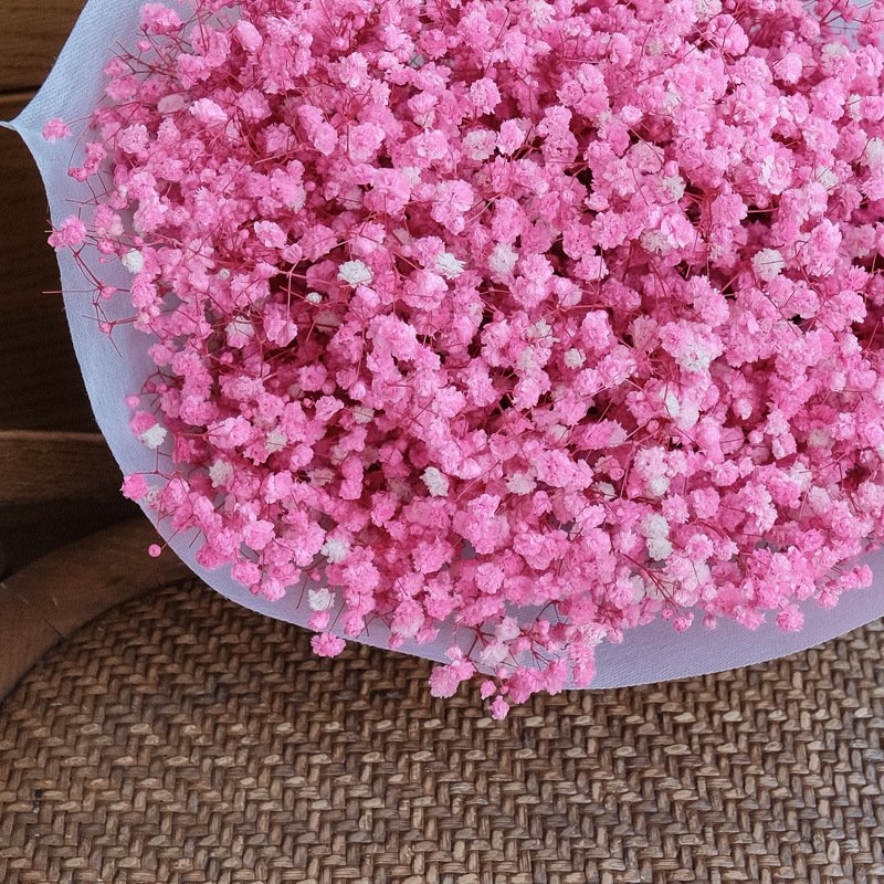Natural Dried Flower Natural babybreath real Natural Dried Flower Bouquet Gypsophila Dried babysbreath