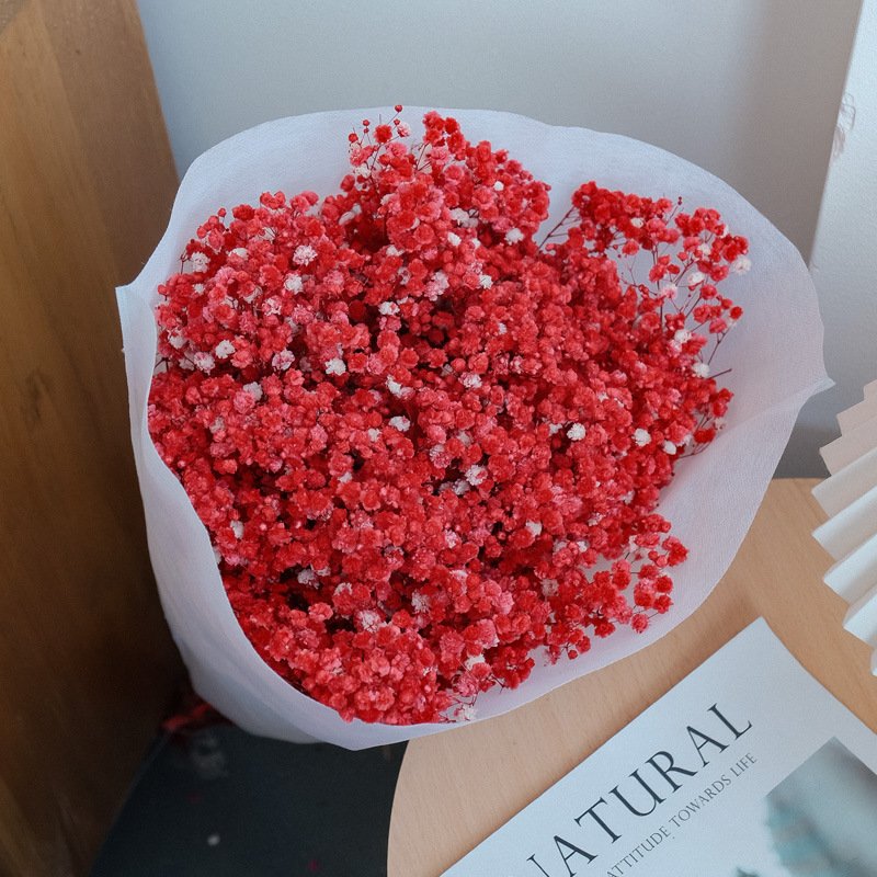 Natural Dried Flower Natural babybreath real Natural Dried Flower Bouquet Gypsophila Dried babysbreath