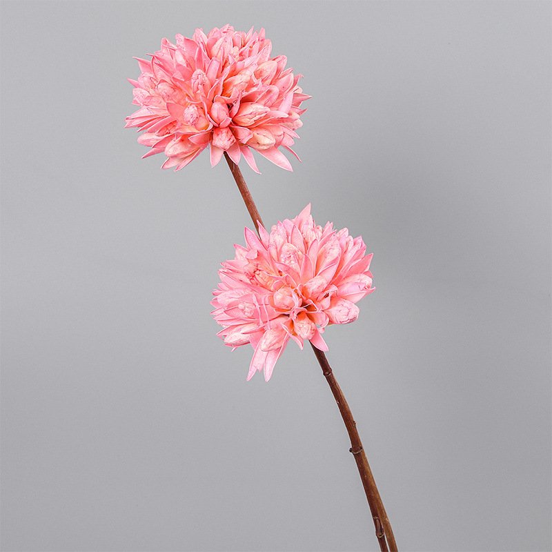 New Product Ideas 2023 High Quantity Dried Magnolia Ball for Dried Flowers Home Wedding Decoration Bridal Bouquet