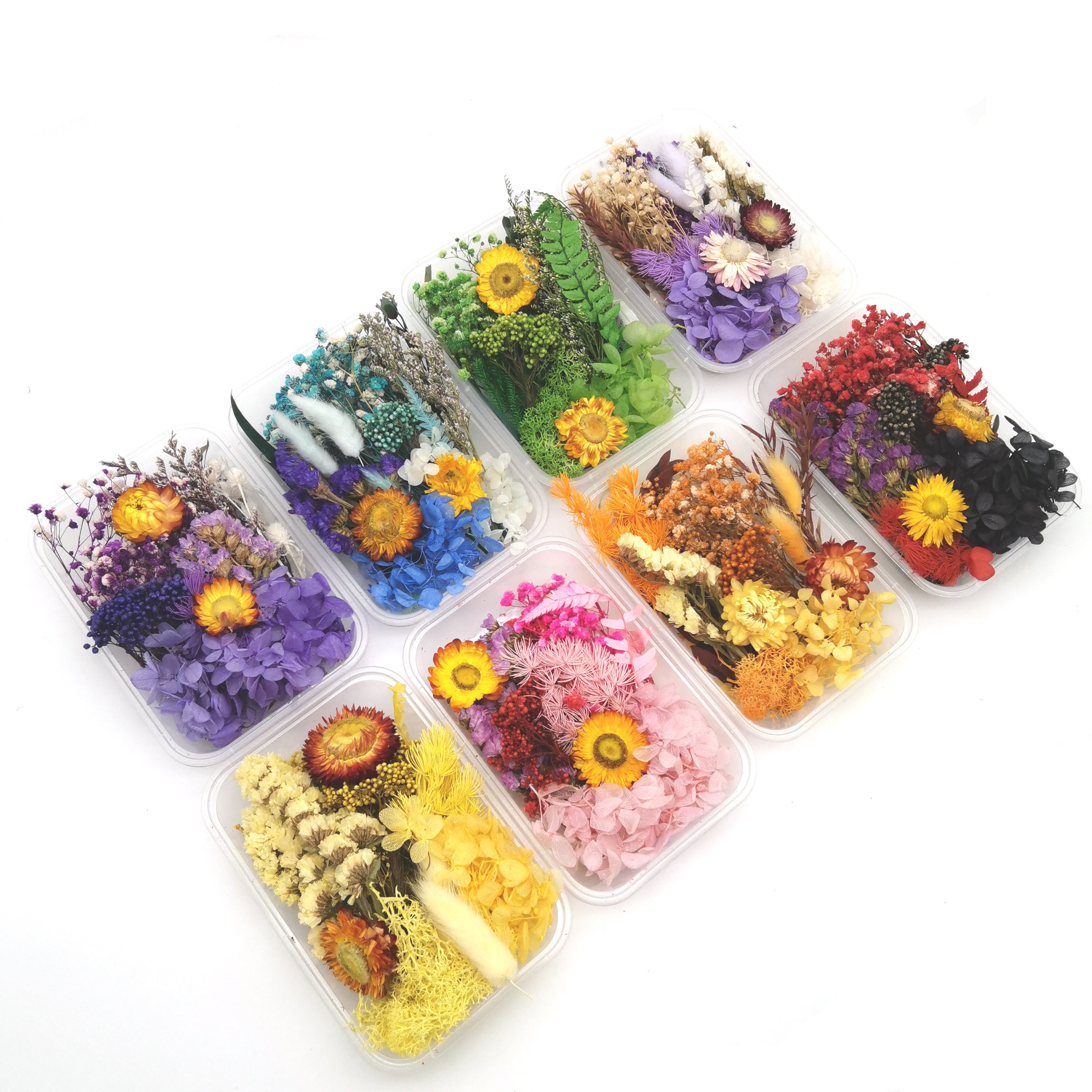 Low price hot sales resin crafts decorative real dried flowers and plants in box with different colors