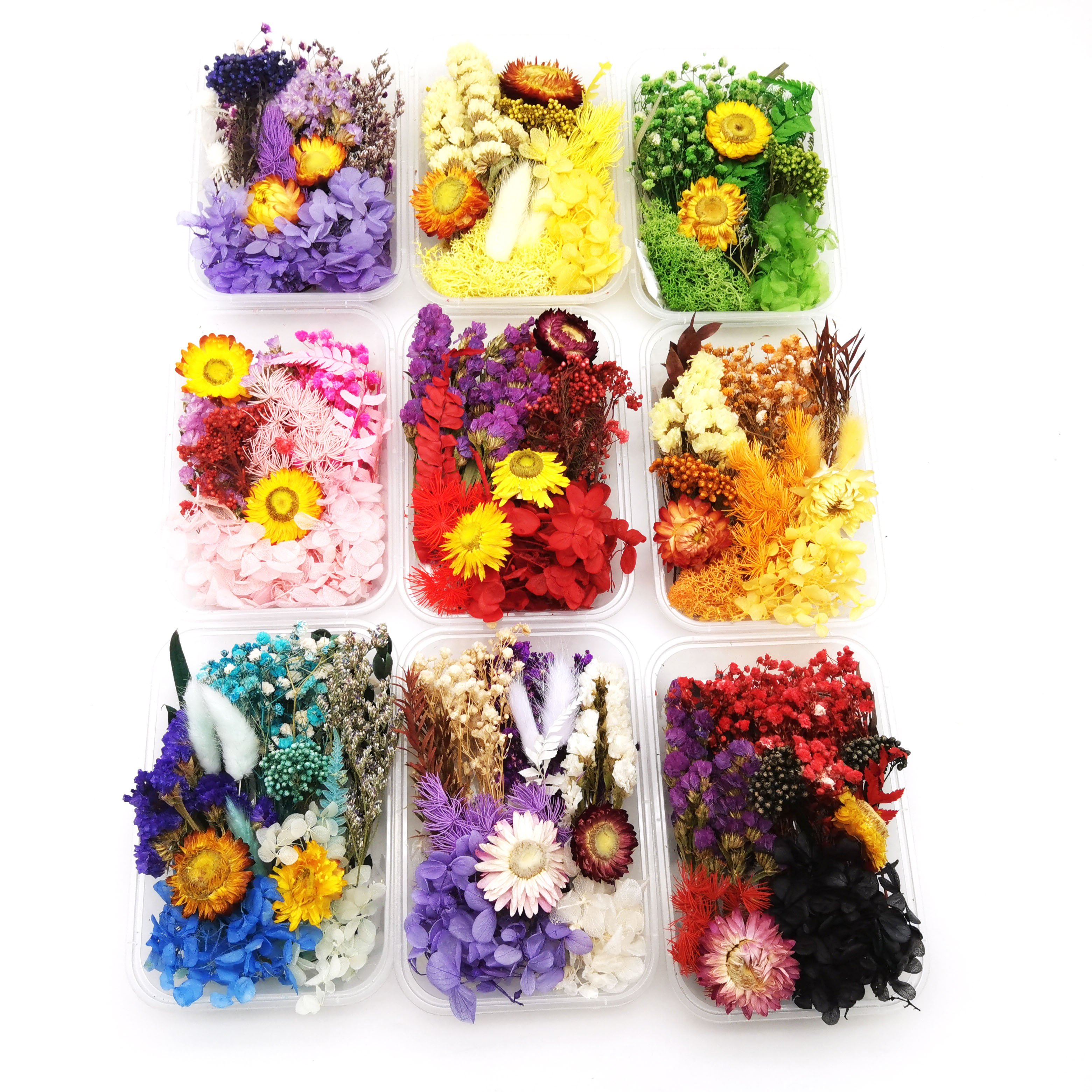 Low price hot sales resin crafts decorative real dried flowers and plants in box with different colors