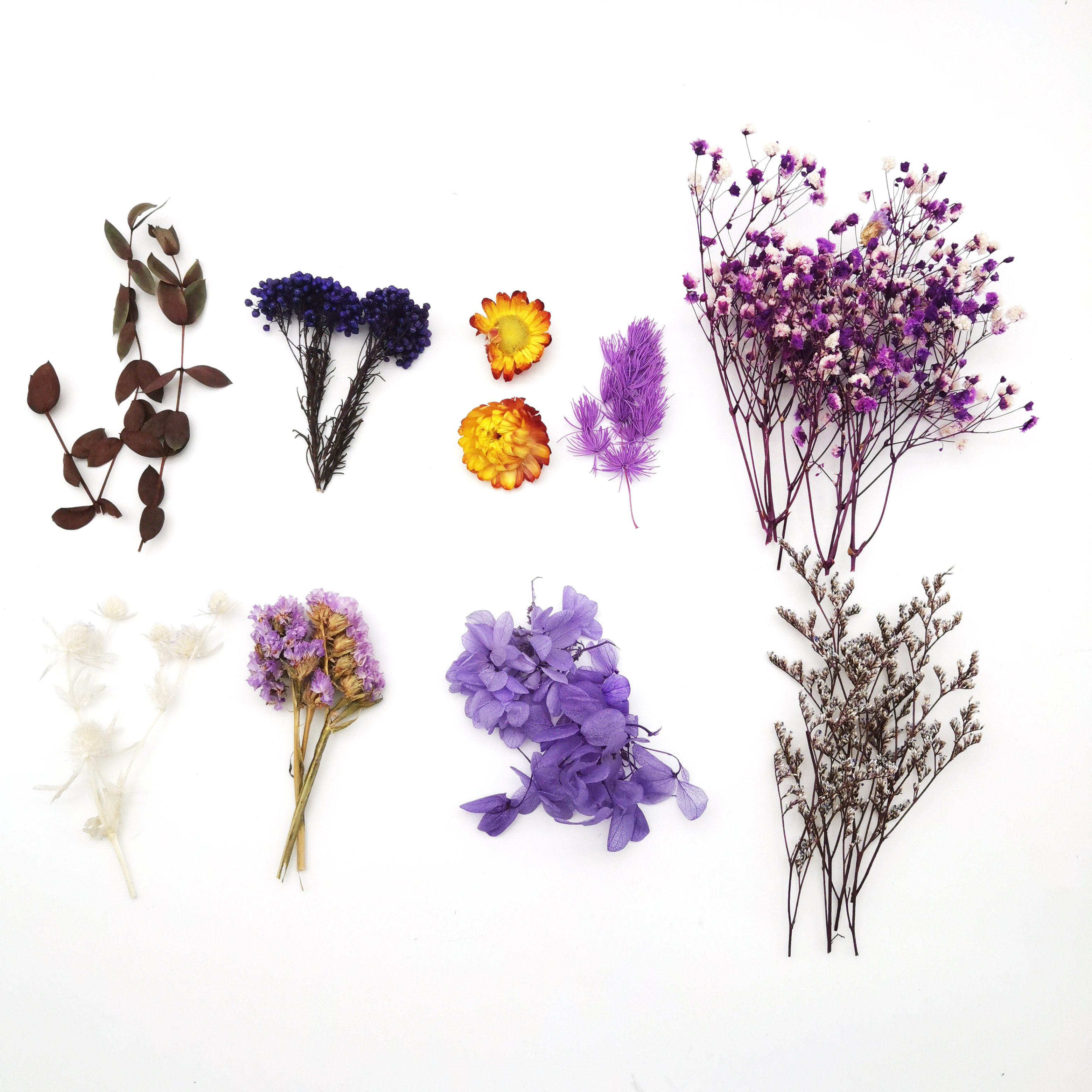 Low price hot sales resin crafts decorative real dried flowers and plants in box with different colors