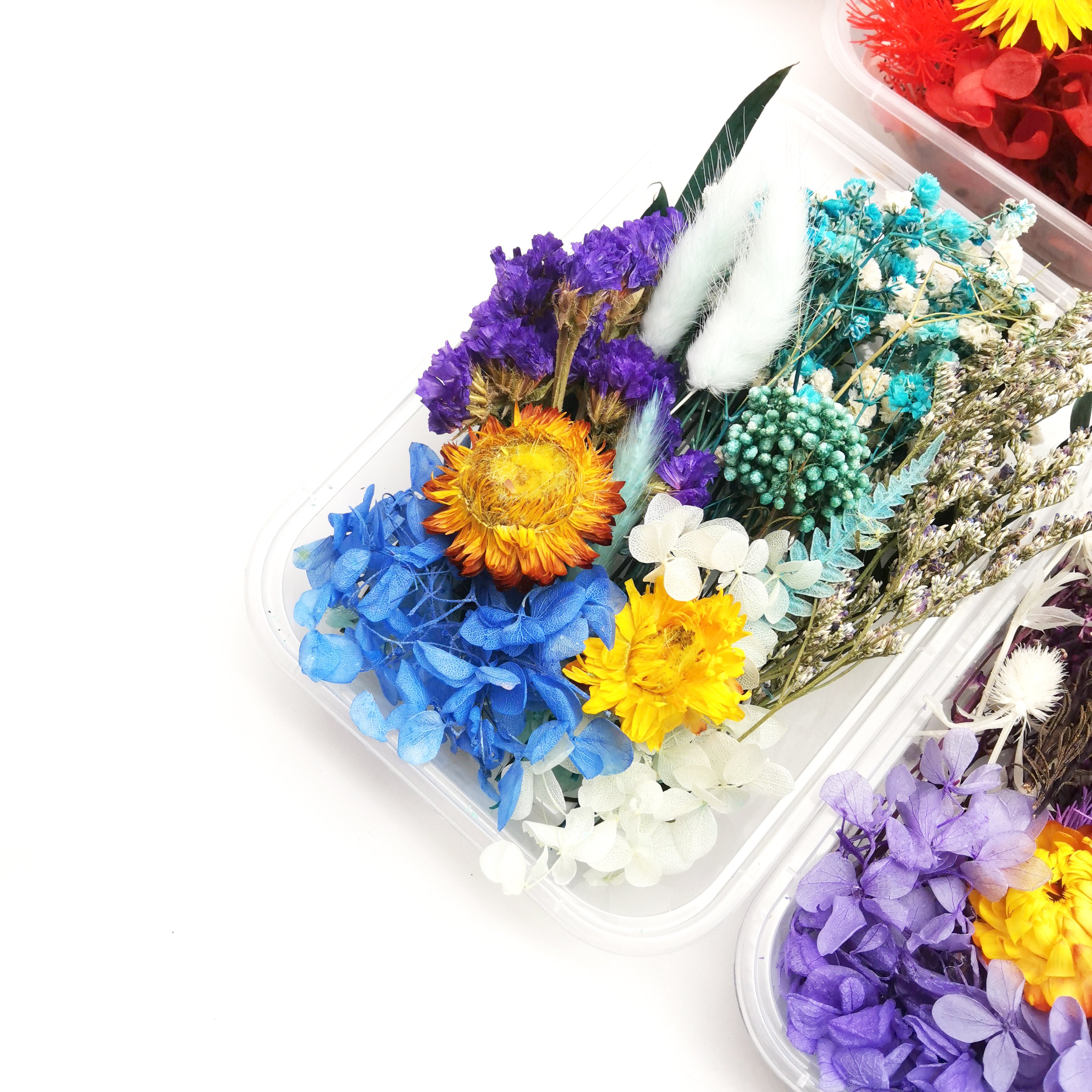 Low price hot sales resin crafts decorative real dried flowers and plants in box with different colors